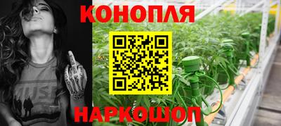 соль ск Майкоп