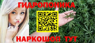 соль ск Майкоп