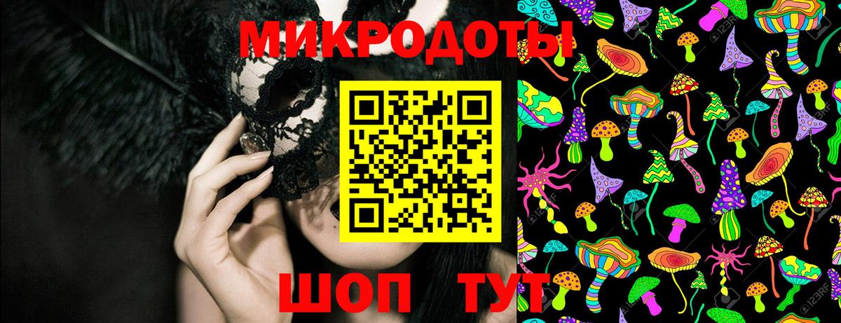 где купить   Вход с VPN  Аша  Галлюциногенные грибы Psilocybe 