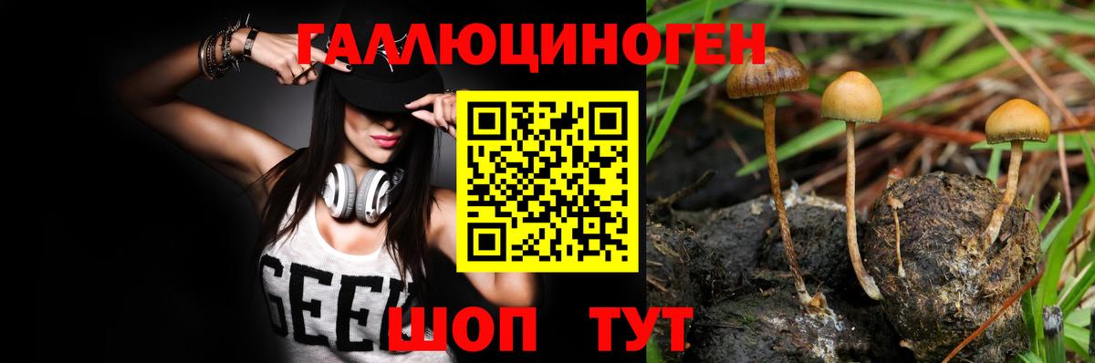 Псилоцибиновые грибы Psilocybe Аша